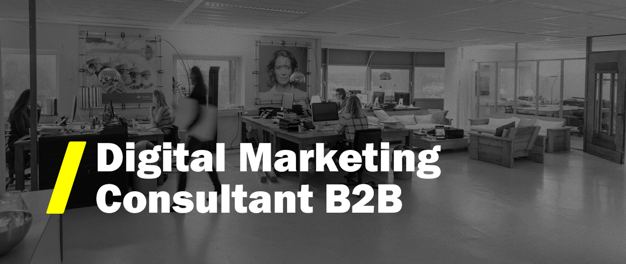 Vacature Digital Marketing Consultant B2B