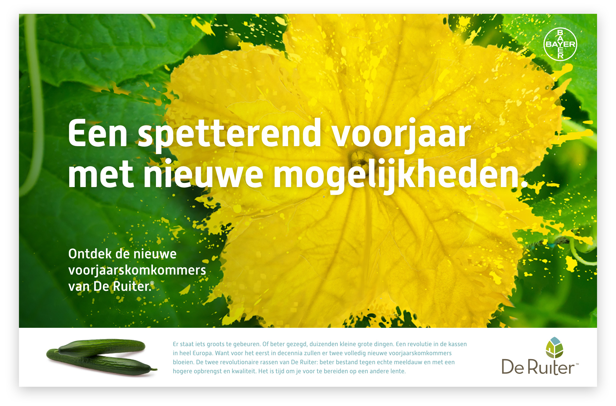 De Ruiter Seeds Komkommer campagne