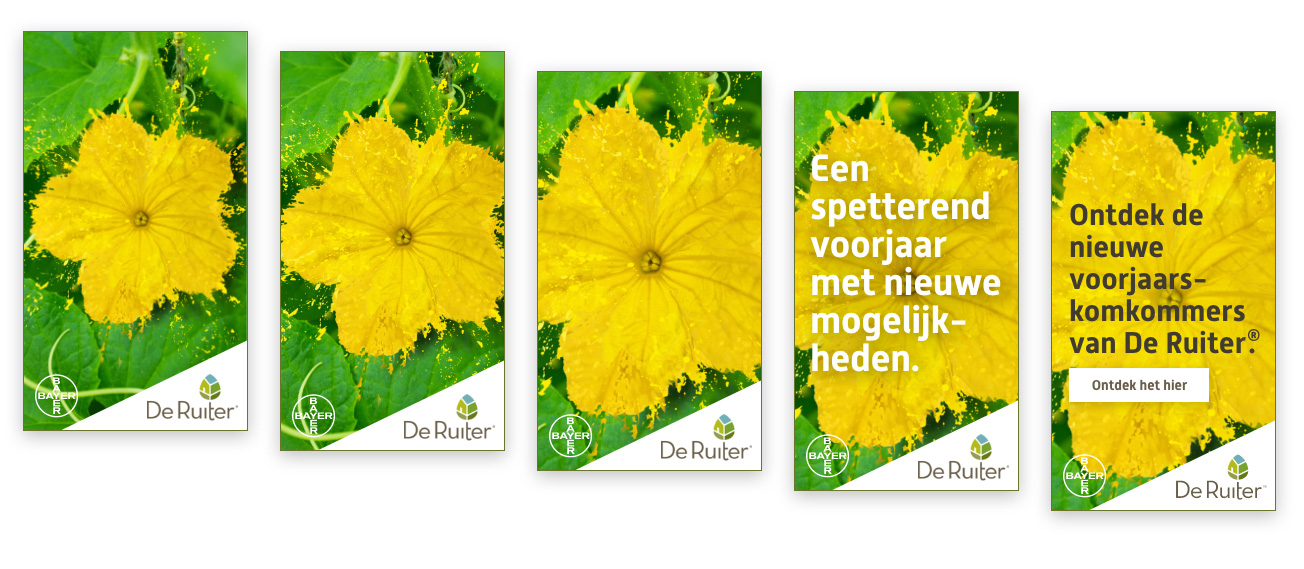 De Ruiter Komkommers banners